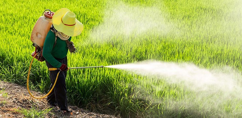 How SAFE is your FOOD? How SAFE is your FOOD?