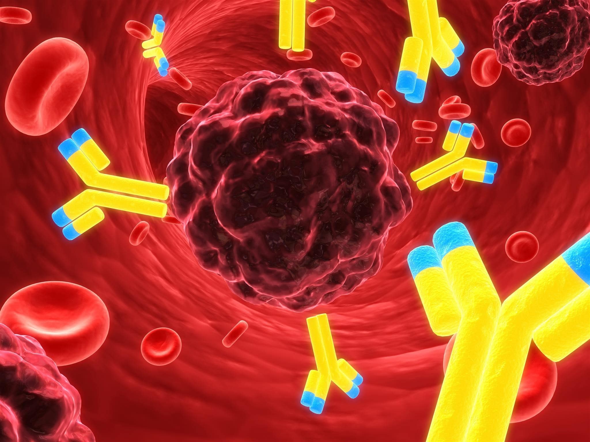 Antibody Drug Conjugates: The New Wave of Pharmaceuticals