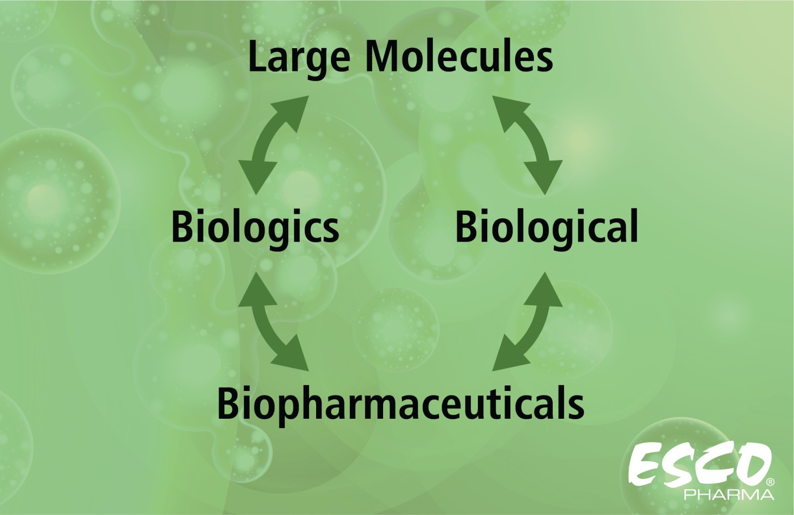 Interchangeable terms of Large Molecules, Biologics, Biological, and Biopharmaceutical