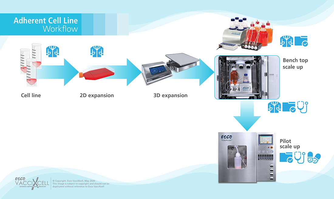 Adherent Cell Workflow