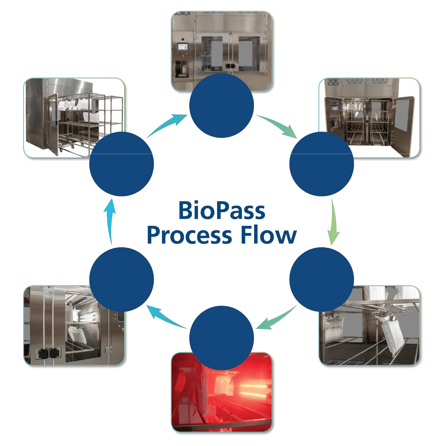 biopass-process-flow